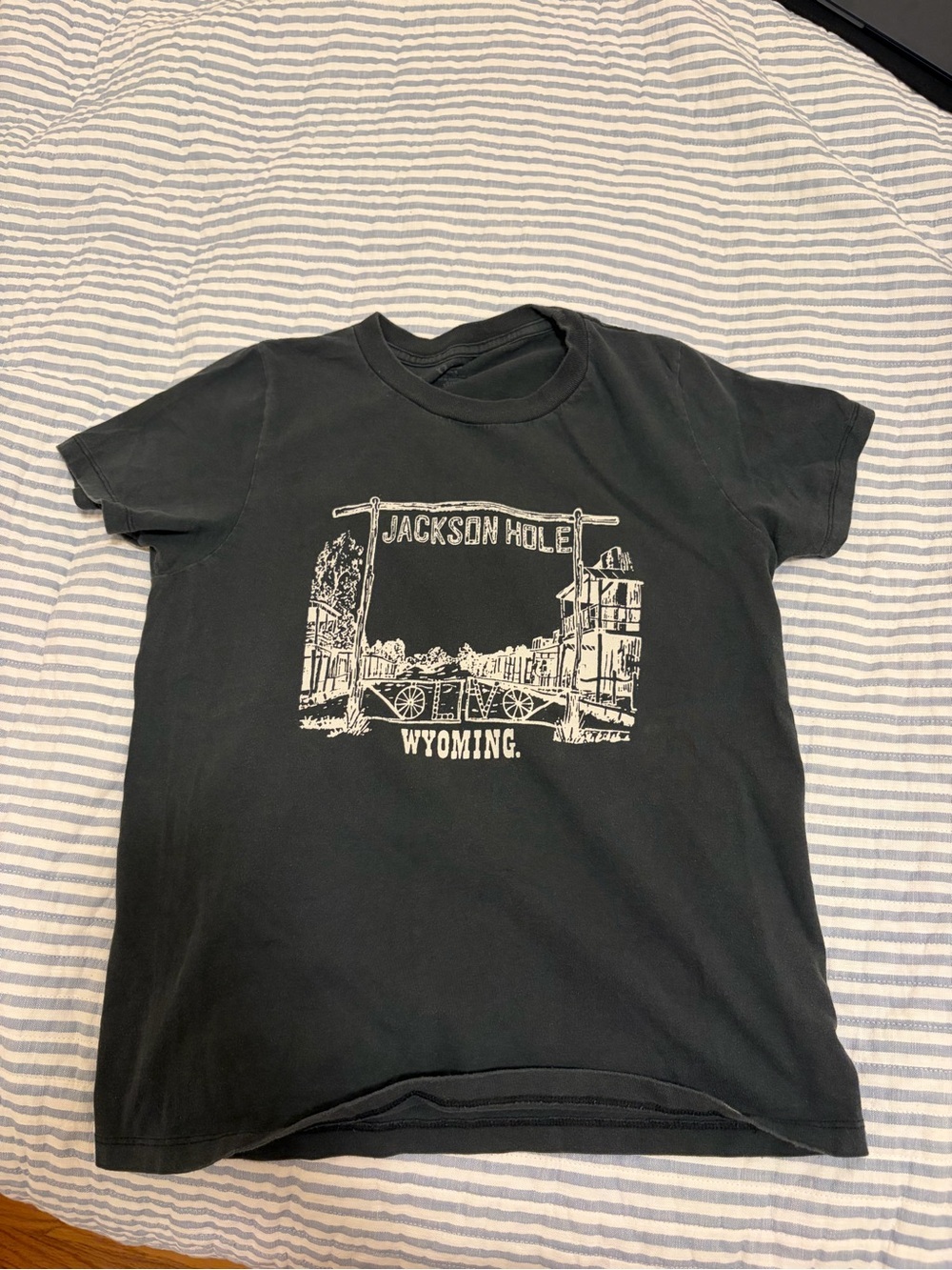 Jackson Hole Wyoming Black Graphic Tee